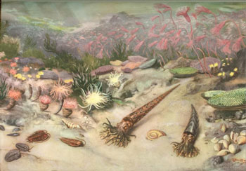 ����������� ��������� ������ � ������������ ������ ��� ��������