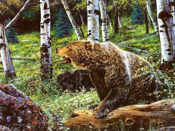 Охота на медведя и ее способы